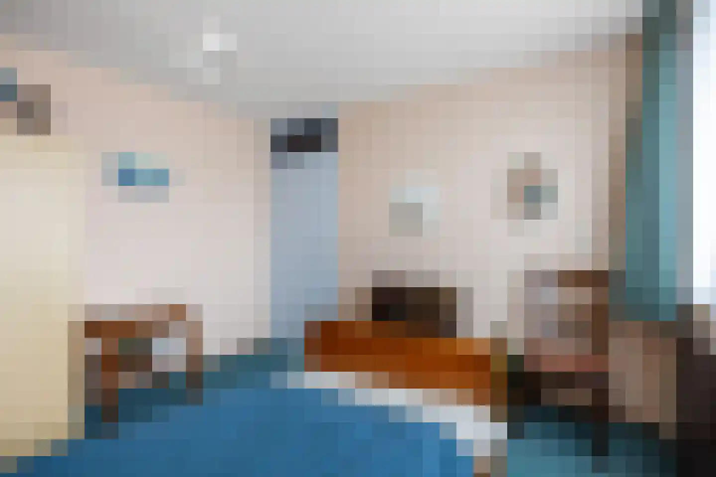 Stiekemastraat 4 Kloosterburen thumbnail 23