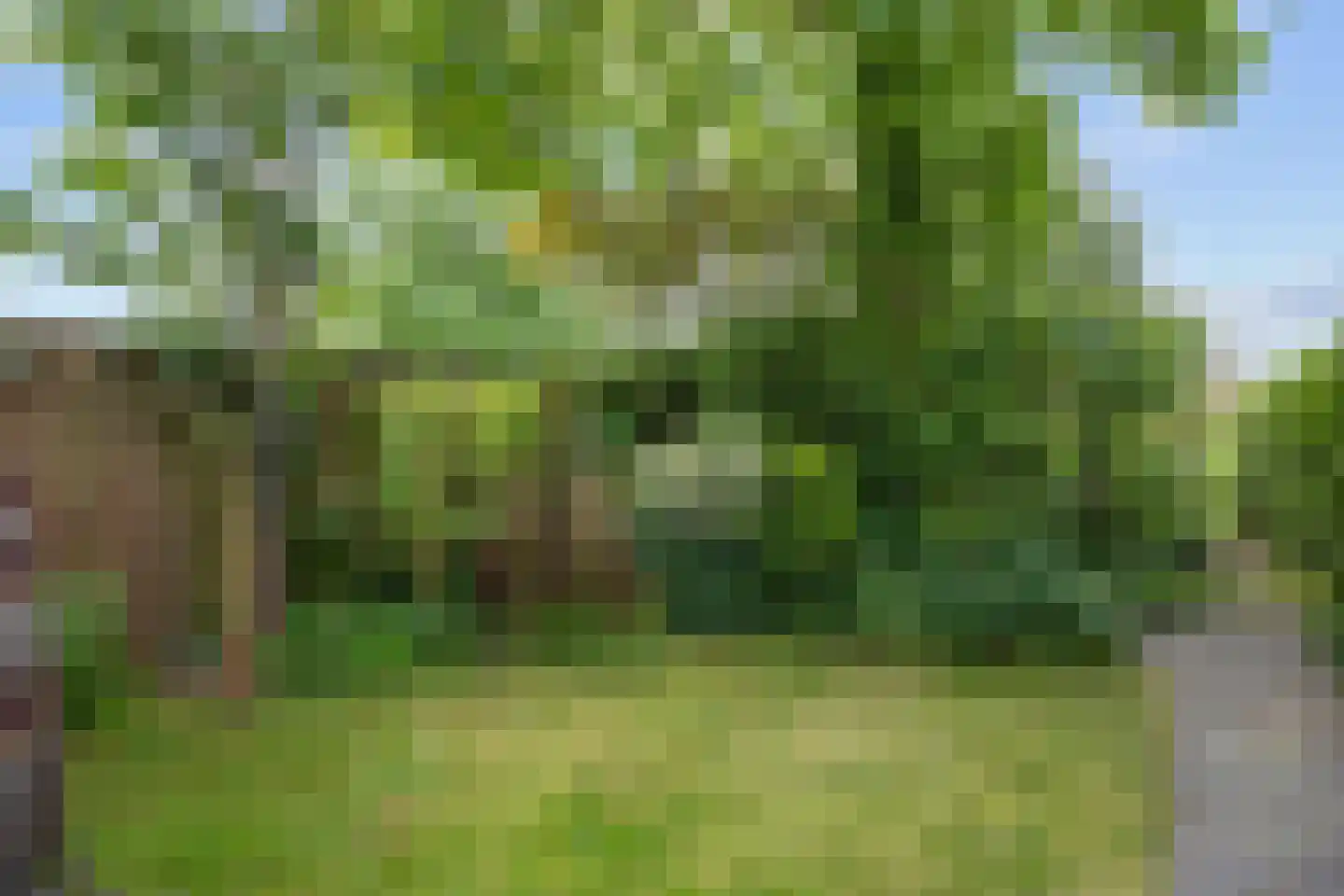 Stiekemastraat 4 Kloosterburen thumbnail 30