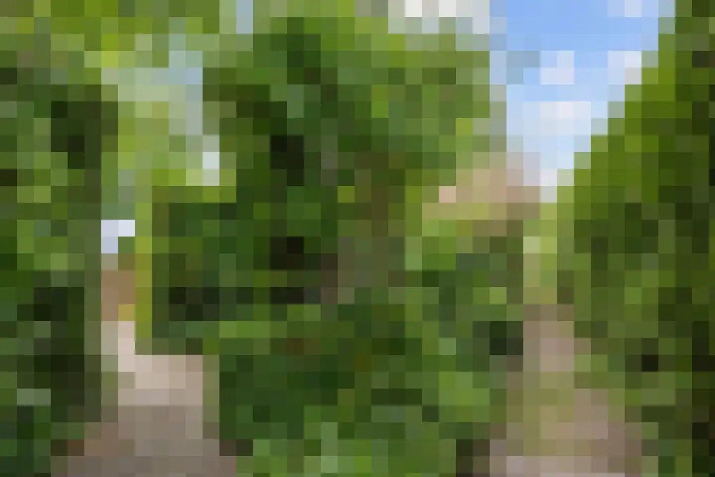Stiekemastraat 4 Kloosterburen thumbnail 31