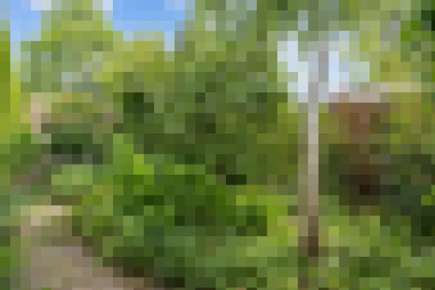 Stiekemastraat 4 Kloosterburen thumbnail 32