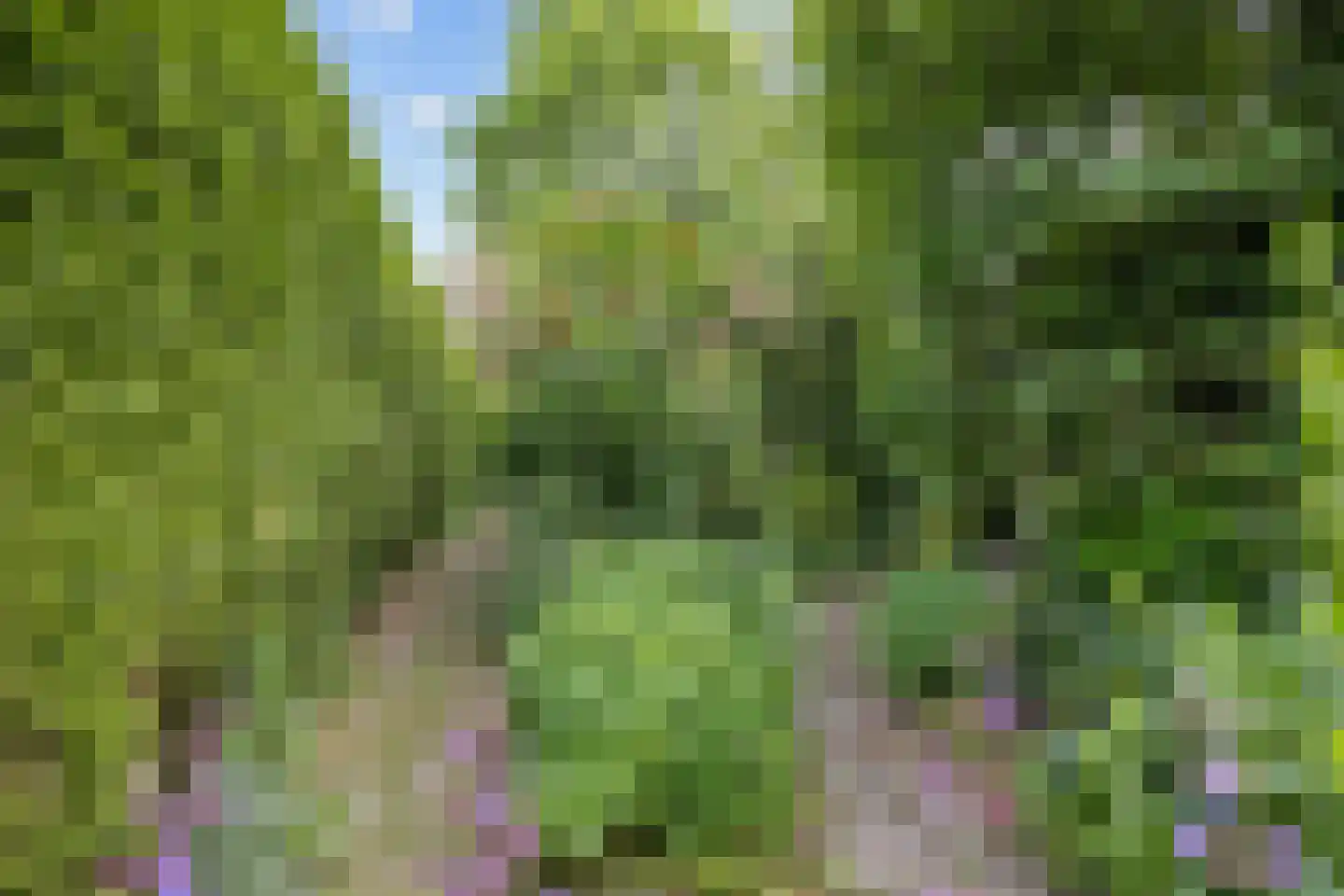 Stiekemastraat 4 Kloosterburen thumbnail 33