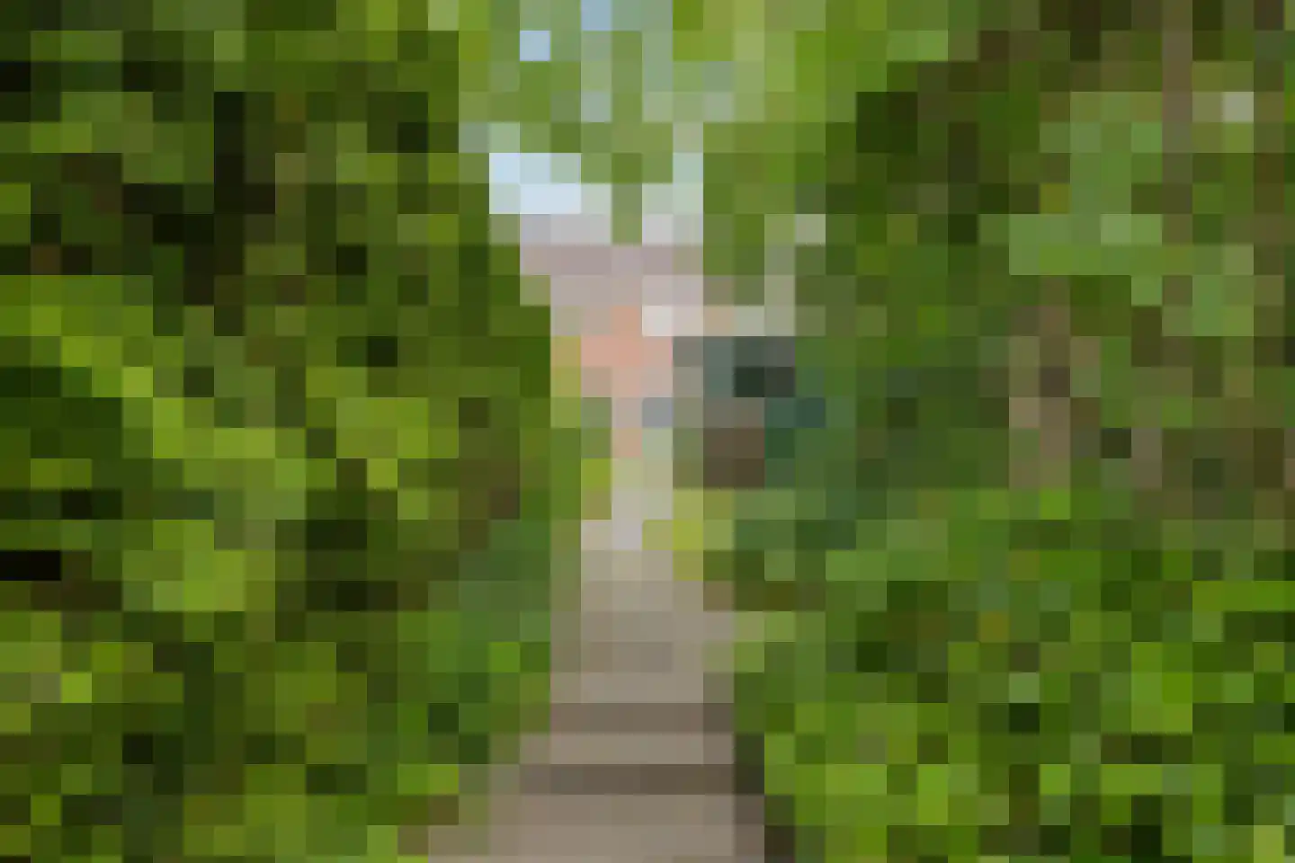 Stiekemastraat 4 Kloosterburen thumbnail 34