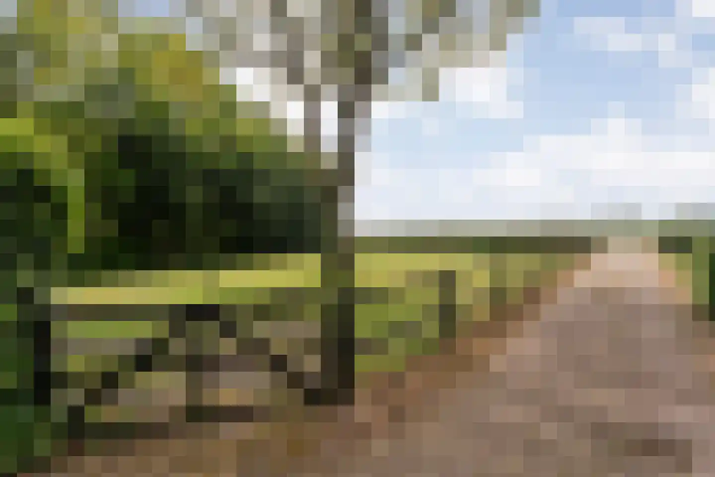 Stieltjeskanaal 26 Stieltjeskanaal thumbnail 17