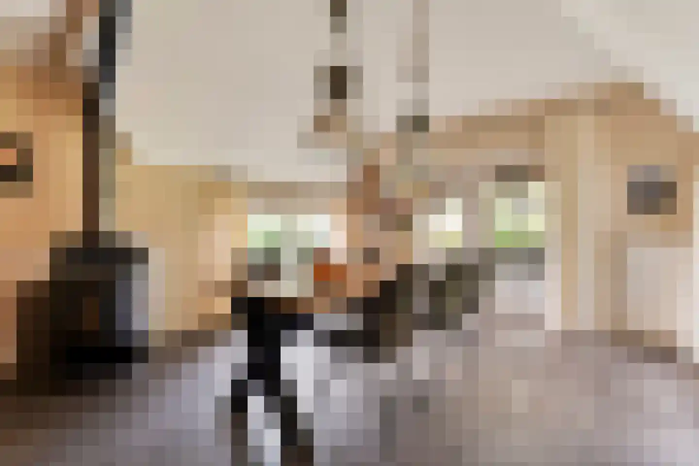 Stieltjeskanaal 26 Stieltjeskanaal thumbnail 4