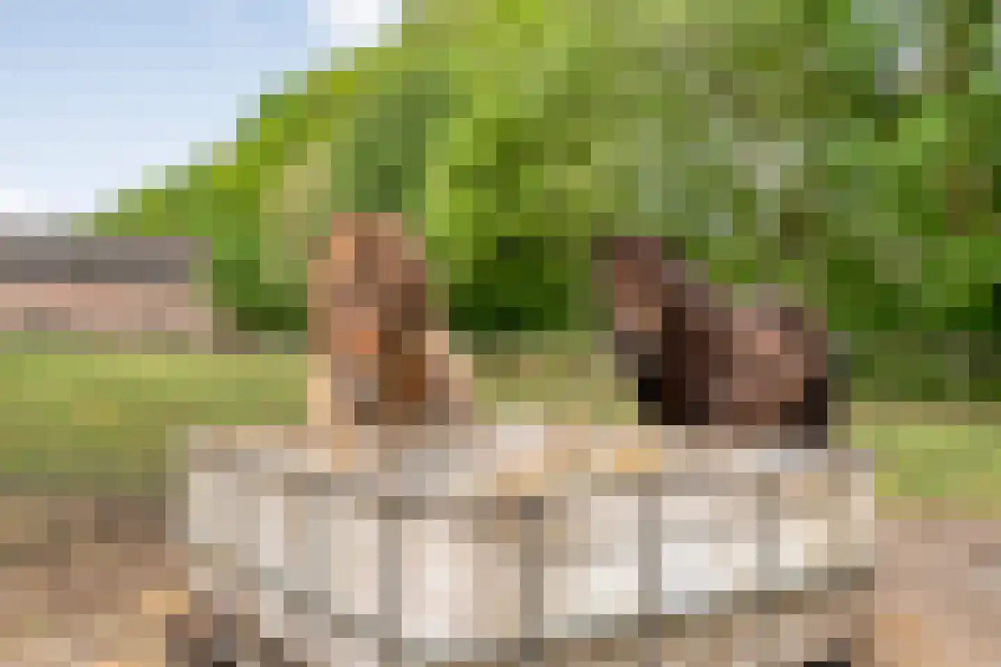 Stieltjeskanaal 26 Stieltjeskanaal thumbnail 64