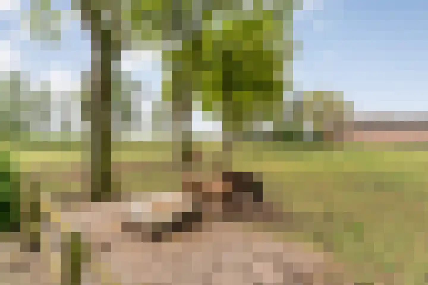 Stieltjeskanaal 26 Stieltjeskanaal thumbnail 65