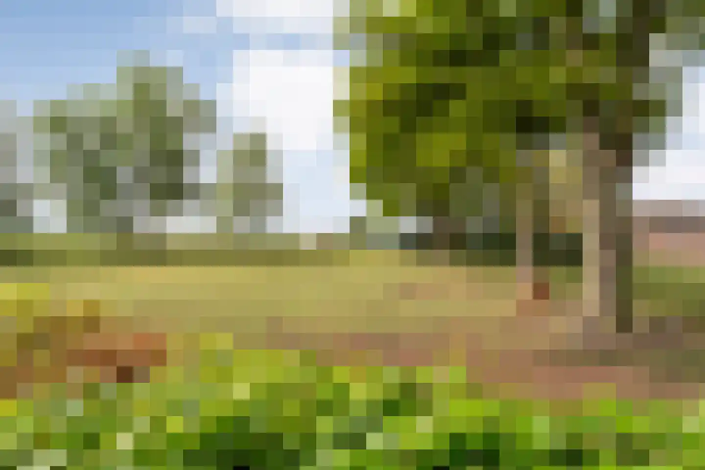Stieltjeskanaal 26 Stieltjeskanaal thumbnail 69