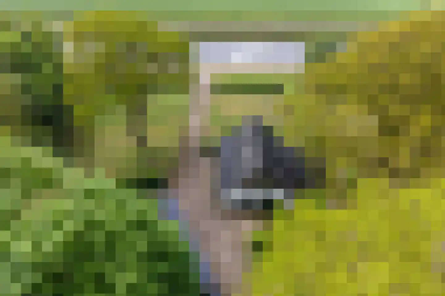 Stieltjeskanaal 26 Stieltjeskanaal thumbnail 7