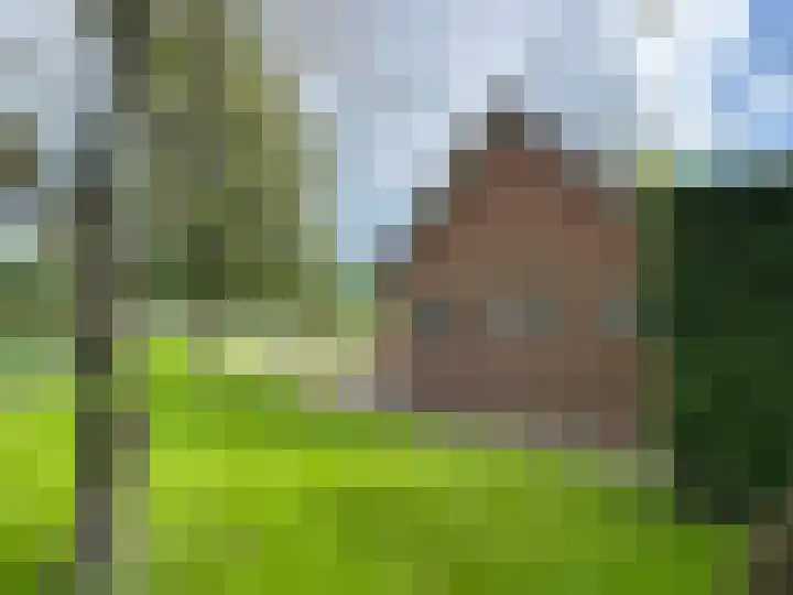 Stieltjeskanaal 49 Stieltjeskanaal thumbnail 26