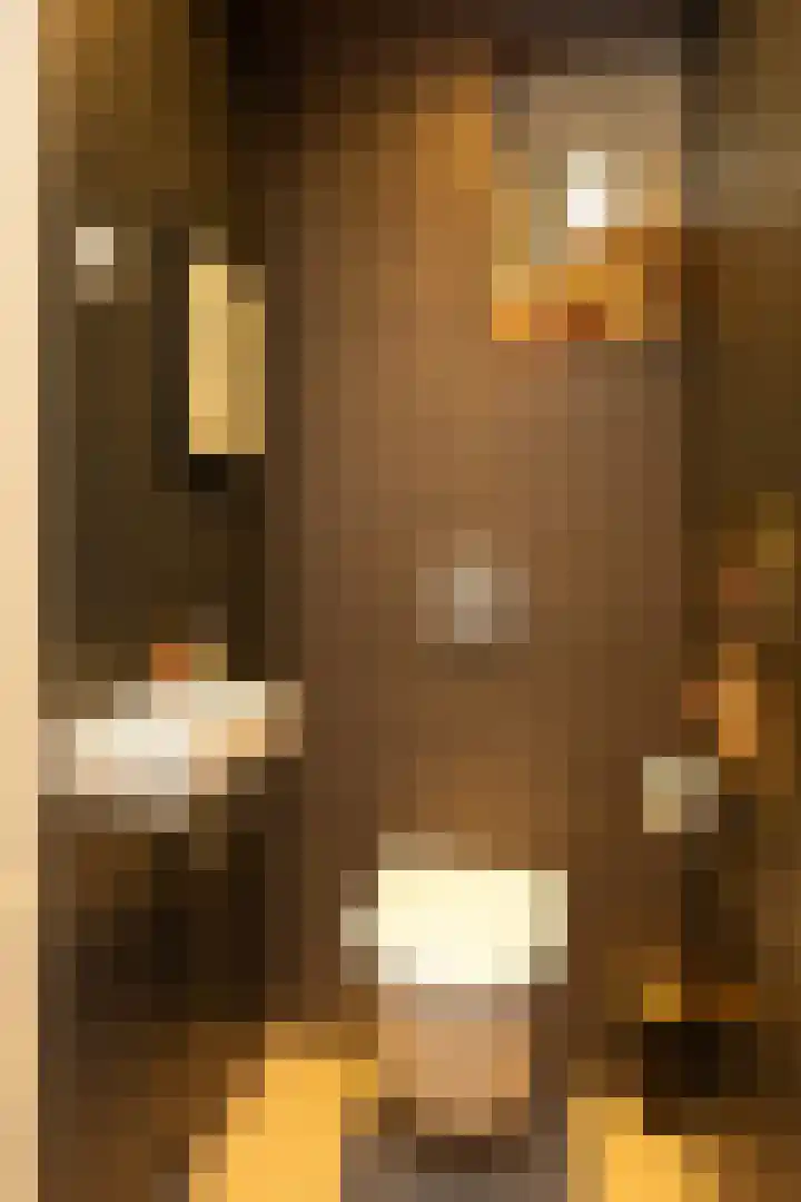 Stieltjeslaan 19 Hilversum thumbnail 13