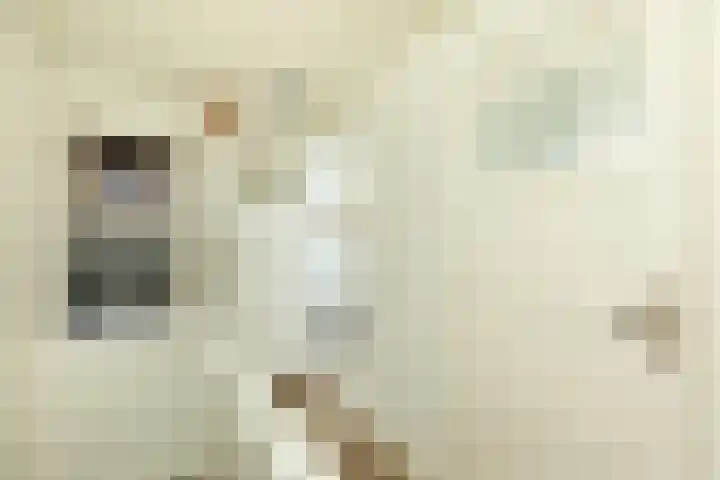 Stieltjeslaan 19 Hilversum thumbnail 22