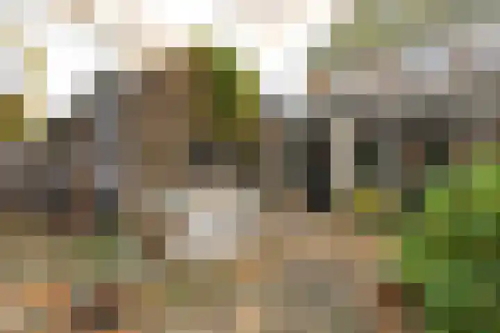 Stieltjeslaan 19 Hilversum thumbnail 30