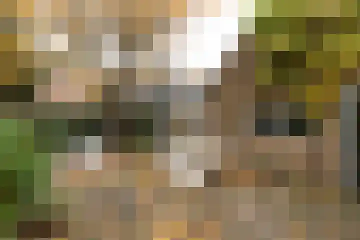 Stieltjeslaan 19 Hilversum thumbnail 31