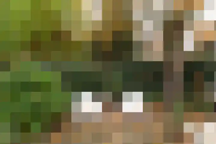 Stieltjeslaan 19 Hilversum thumbnail 32