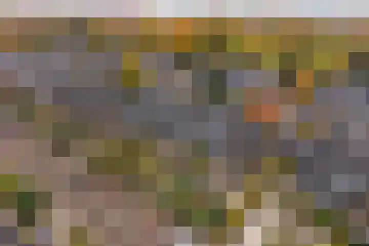 Stieltjeslaan 19 Hilversum thumbnail 34