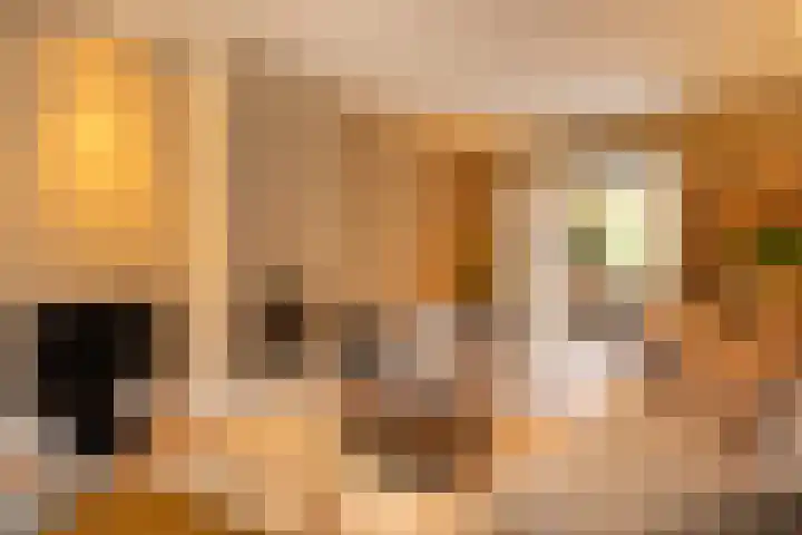 Stieltjeslaan 19 Hilversum thumbnail 5