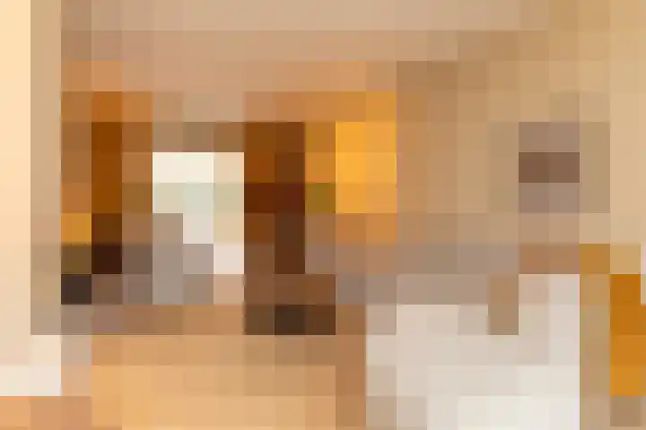Stieltjeslaan 19 Hilversum thumbnail 6