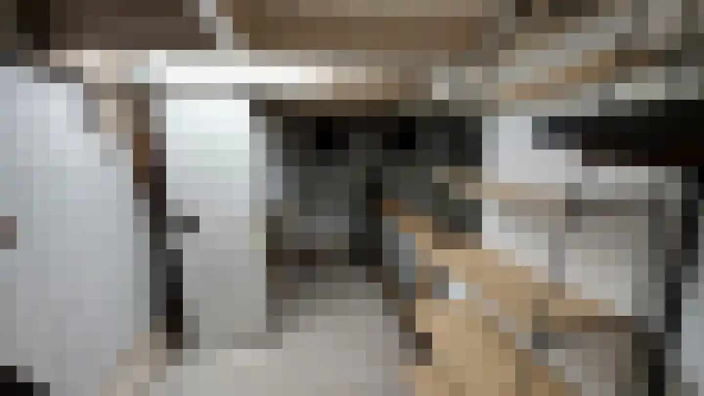 Stieltjesstraat 10 Nijmegen thumbnail 18