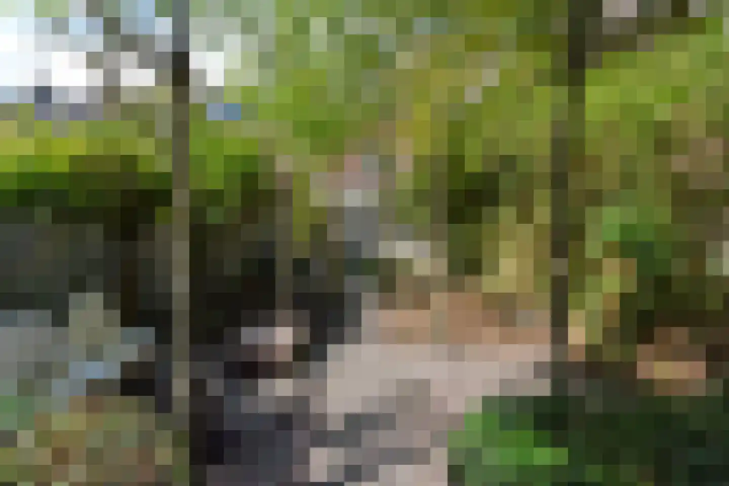 Stieltjesstraat 10 Nijmegen thumbnail 5
