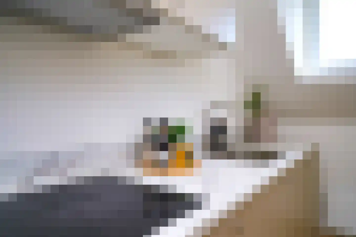 Stieltjesstraat 2 D Rotterdam thumbnail 11