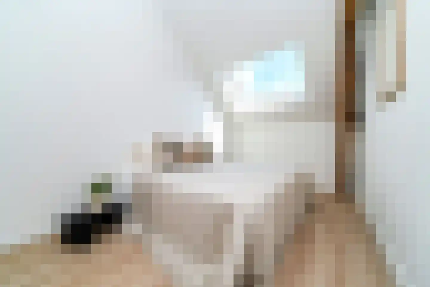 Stieltjesstraat 2 D Rotterdam thumbnail 14