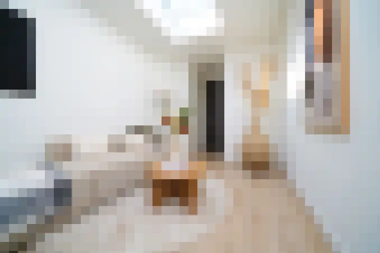 Stieltjesstraat 2 D Rotterdam thumbnail 8