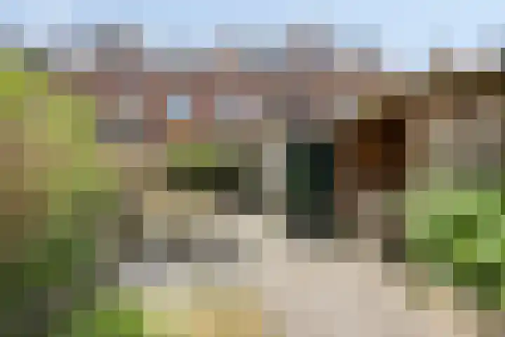 Stieltjesstraat 32 Leiden thumbnail 4