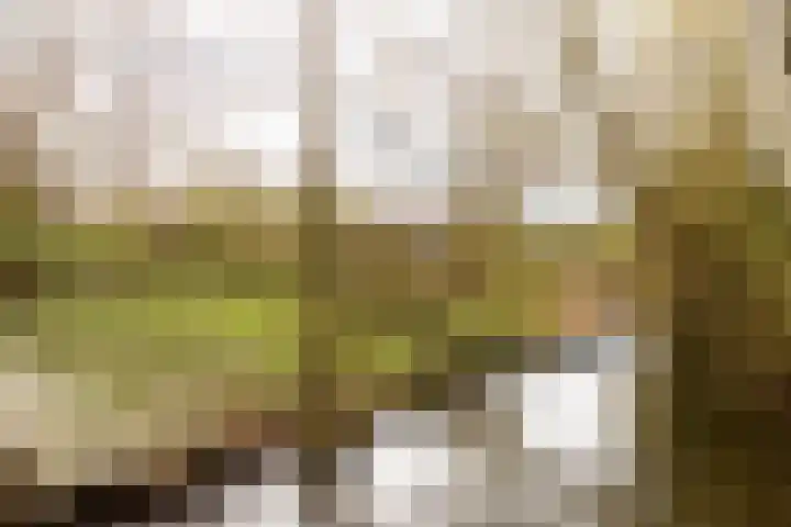 Stieltjesstraat 54 Utrecht thumbnail 33