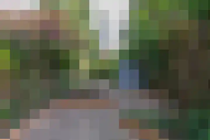 Stiemensvaart 1 Den Haag thumbnail 16