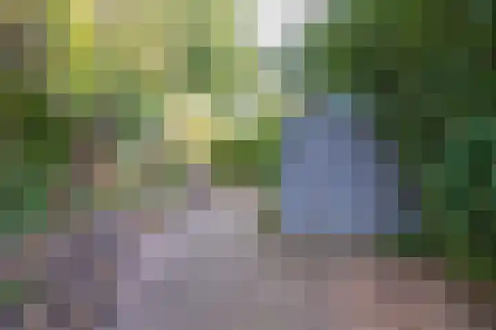 Stiemensvaart 1 Den Haag thumbnail 17