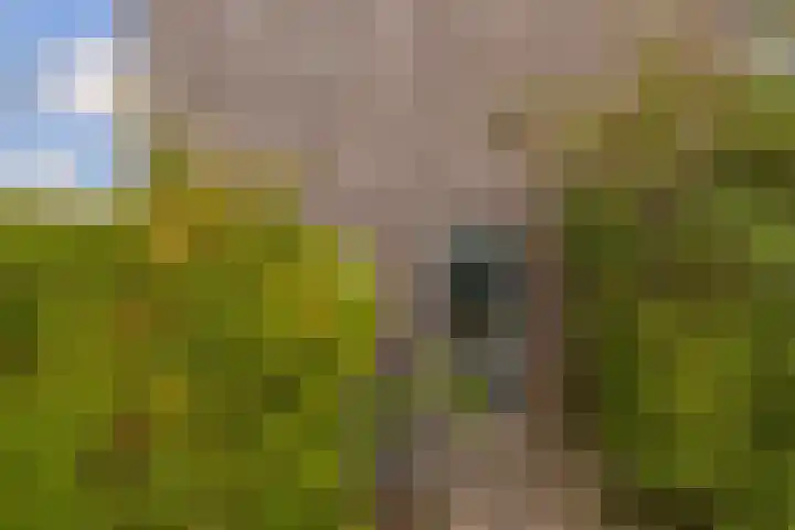 Stiemensvaart 1 Den Haag thumbnail 5