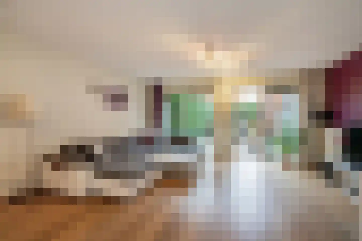 Stiemensvaart 41 Den Haag thumbnail 4