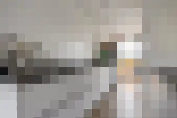 Stiemensvaart 64 Den Haag thumbnail 19