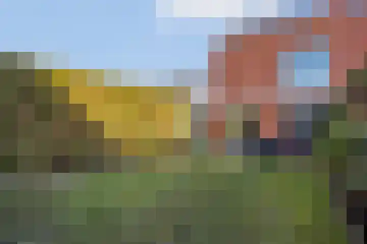 Stiemensvaart 64 Den Haag thumbnail 36