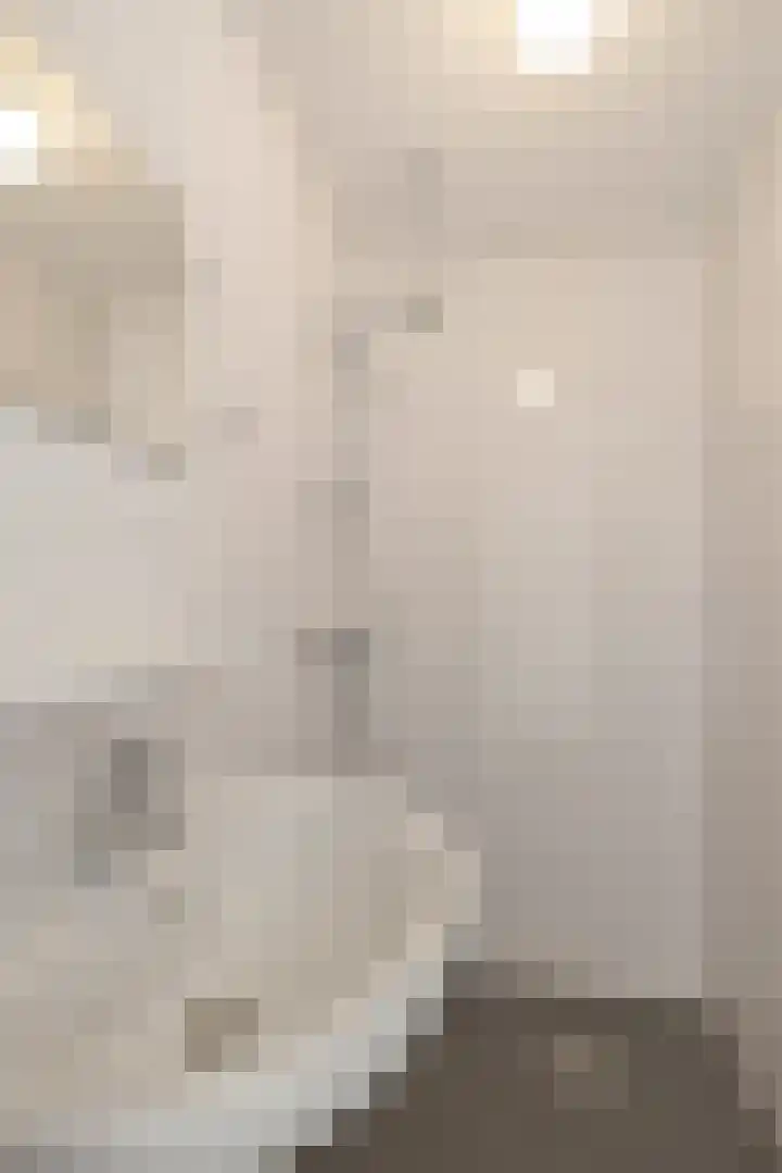 Stiemsterwei 22 Eanjum thumbnail 17
