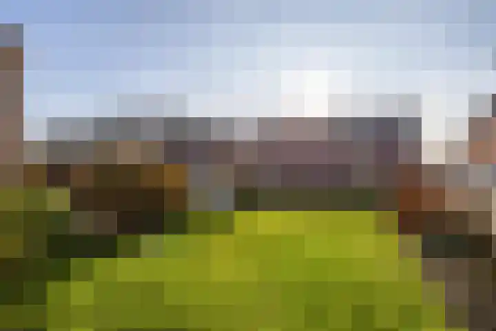 Stiemsterwei 22 Eanjum thumbnail 30