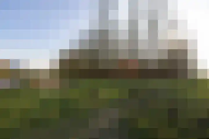 Stiemsterwei 22 Eanjum thumbnail 32