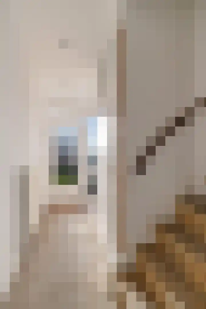 Stiemsterwei 22 Eanjum thumbnail 7