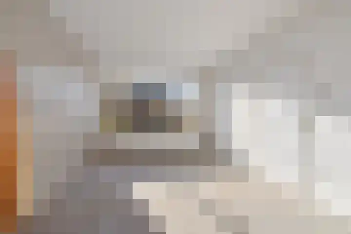 Stiemsterwei 22 Eanjum thumbnail 8