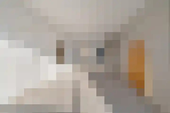 Stiemsterwei 22 Eanjum thumbnail 9