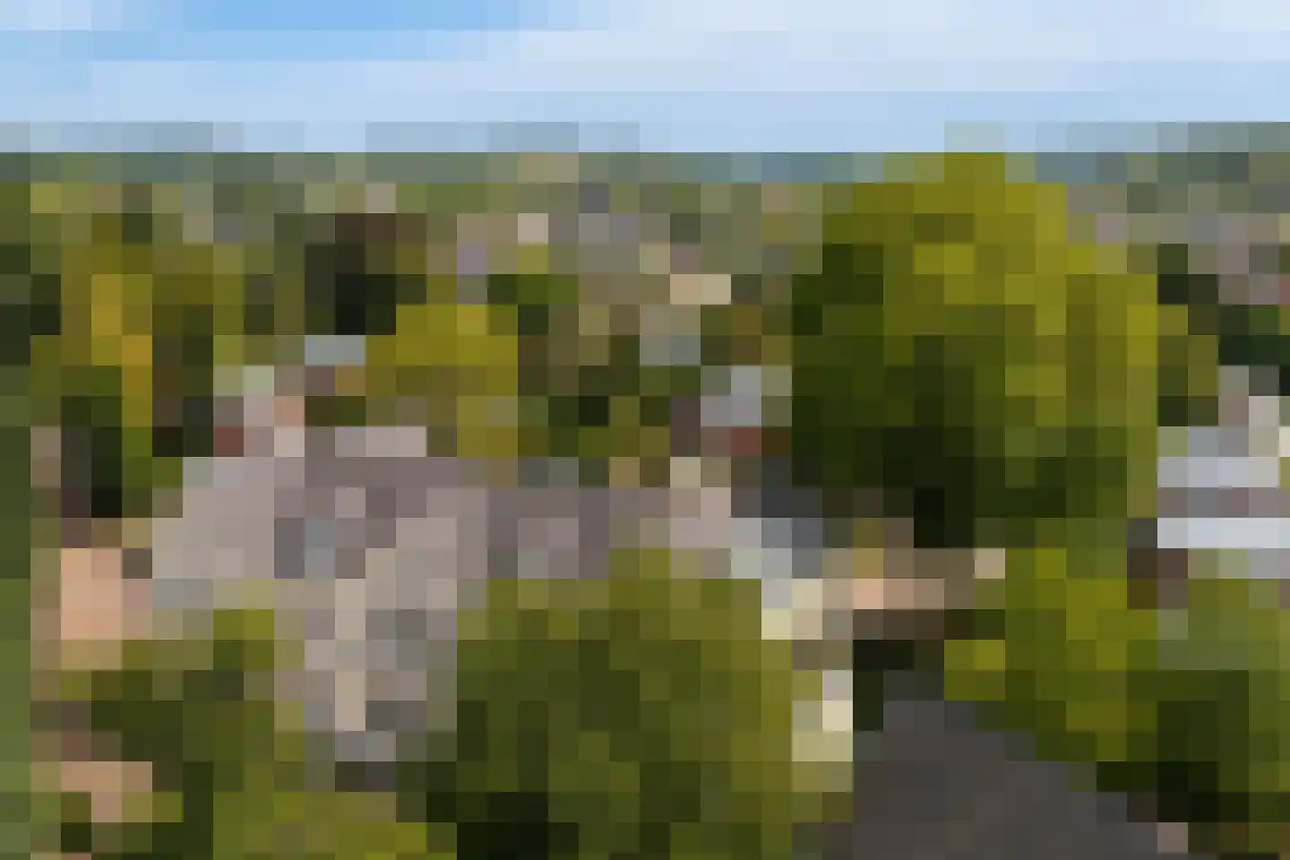 Stiena Ruypers Park 12 Valkenburg thumbnail 29