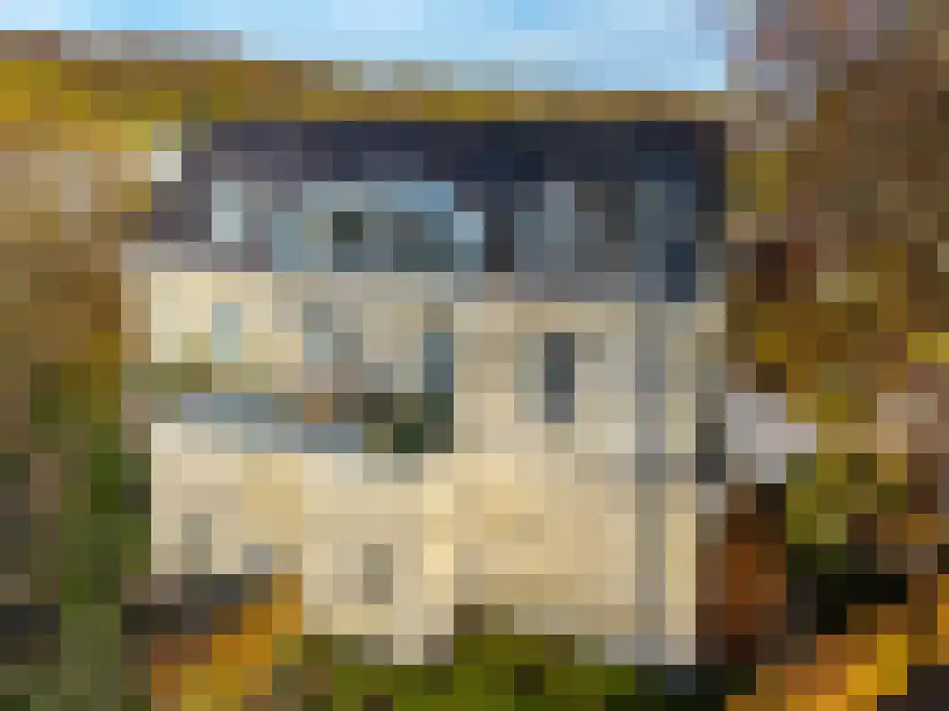Stiena Ruypers Park 12 Valkenburg thumbnail 7
