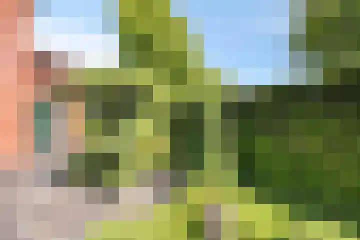 Stiena Ruypers Park 17 Valkenburg thumbnail 101