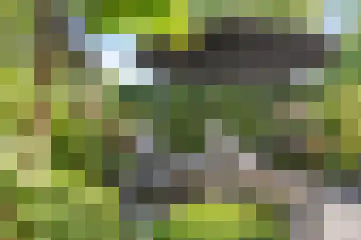 Stiena Ruypers Park 17 Valkenburg thumbnail 104