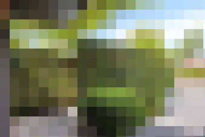Stiena Ruypers Park 17 Valkenburg thumbnail 11