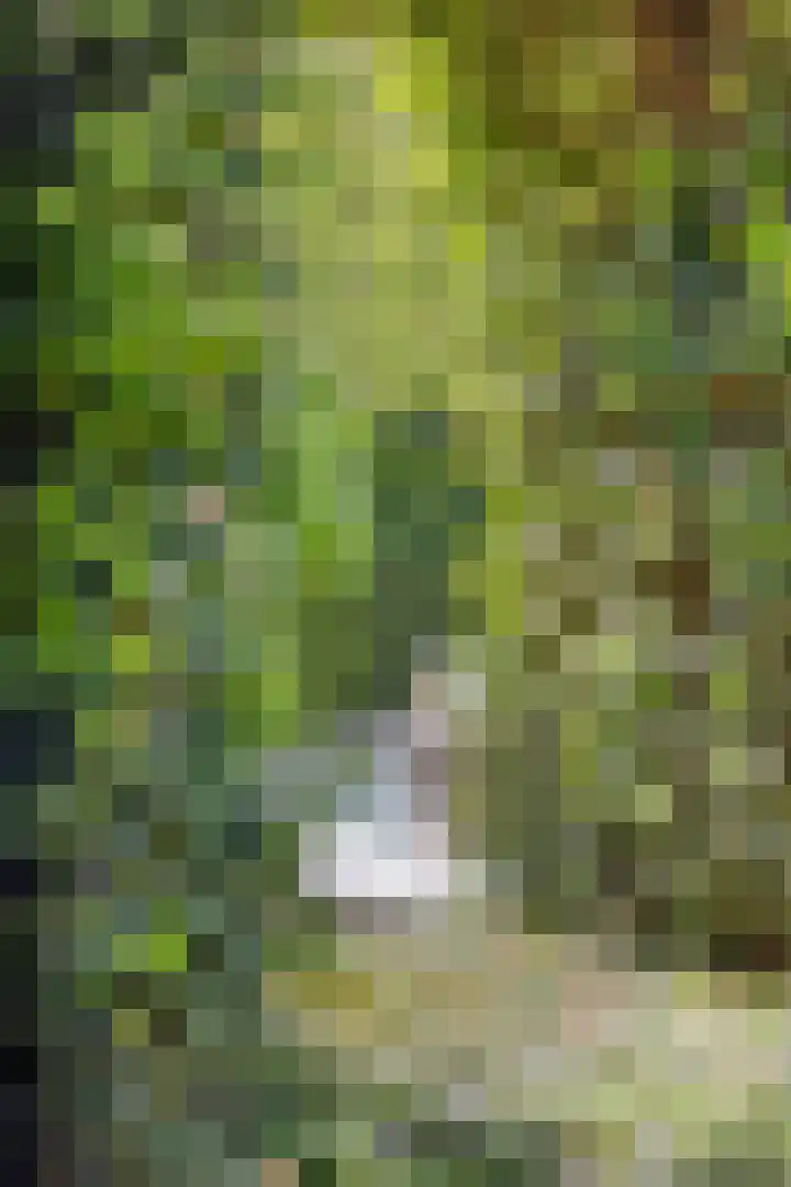 Stiena Ruypers Park 17 Valkenburg thumbnail 111