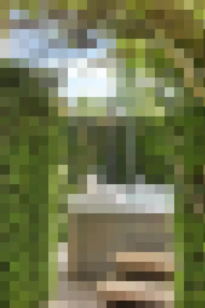 Stiena Ruypers Park 17 Valkenburg thumbnail 112