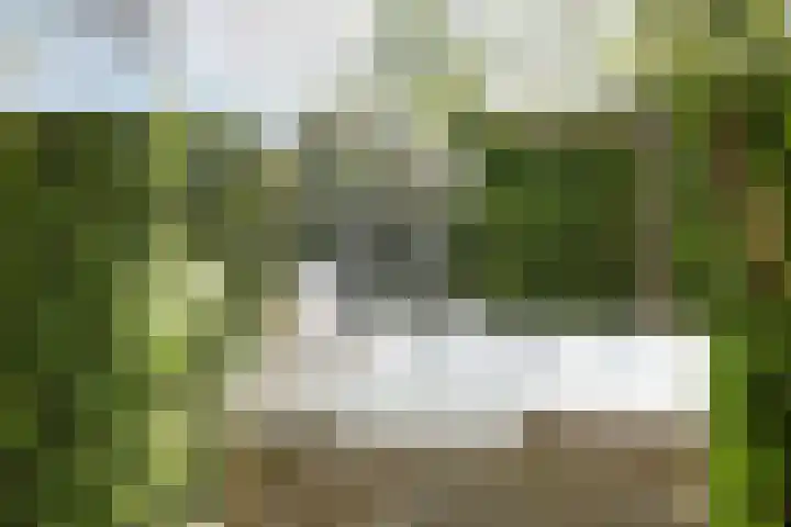 Stiena Ruypers Park 17 Valkenburg thumbnail 113