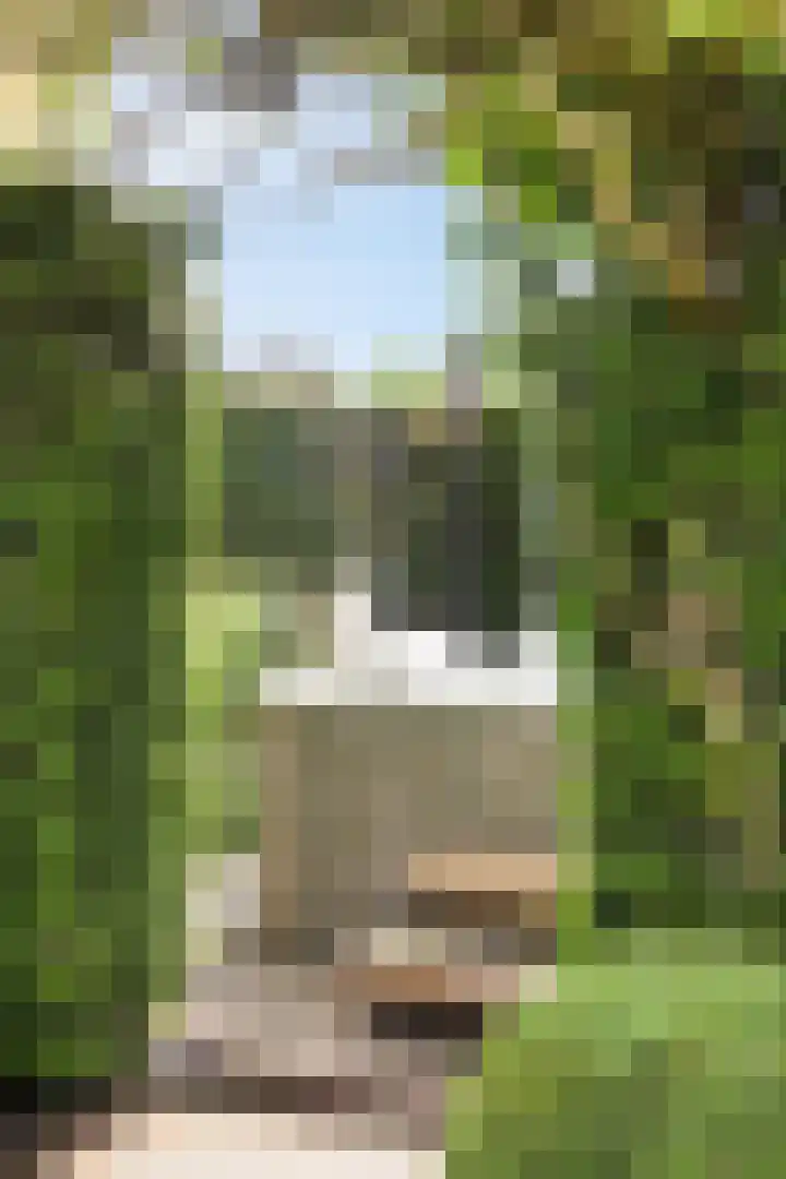 Stiena Ruypers Park 17 Valkenburg thumbnail 114
