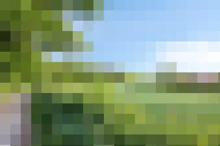 Stiena Ruypers Park 17 Valkenburg thumbnail 130